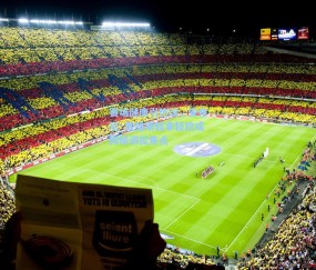 赛场健康引热议，安东尼·戴维斯轻拿轻放成网络调侃焦点