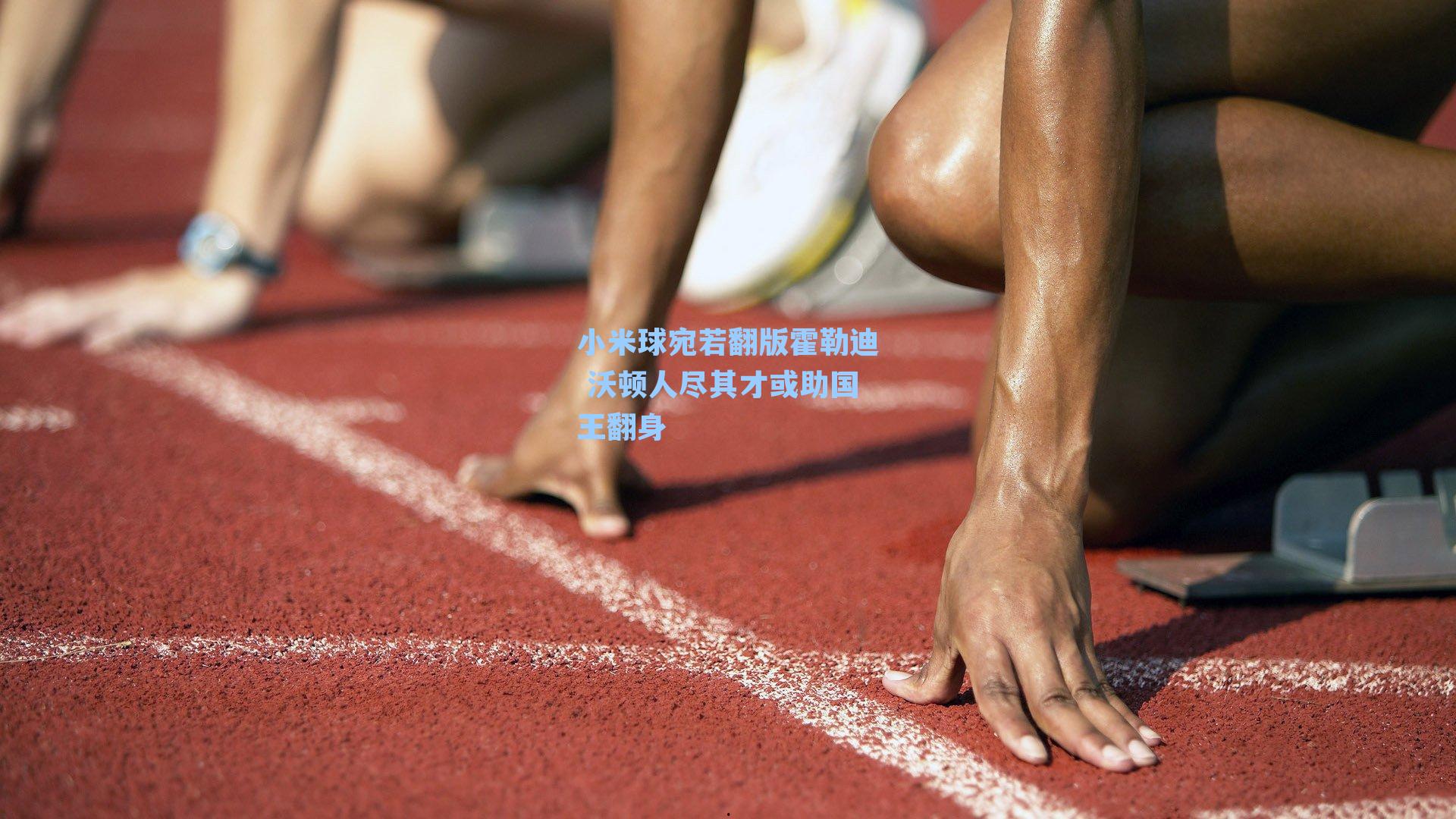小米球宛若翻版霍勒迪 沃顿人尽其才或助国王翻身