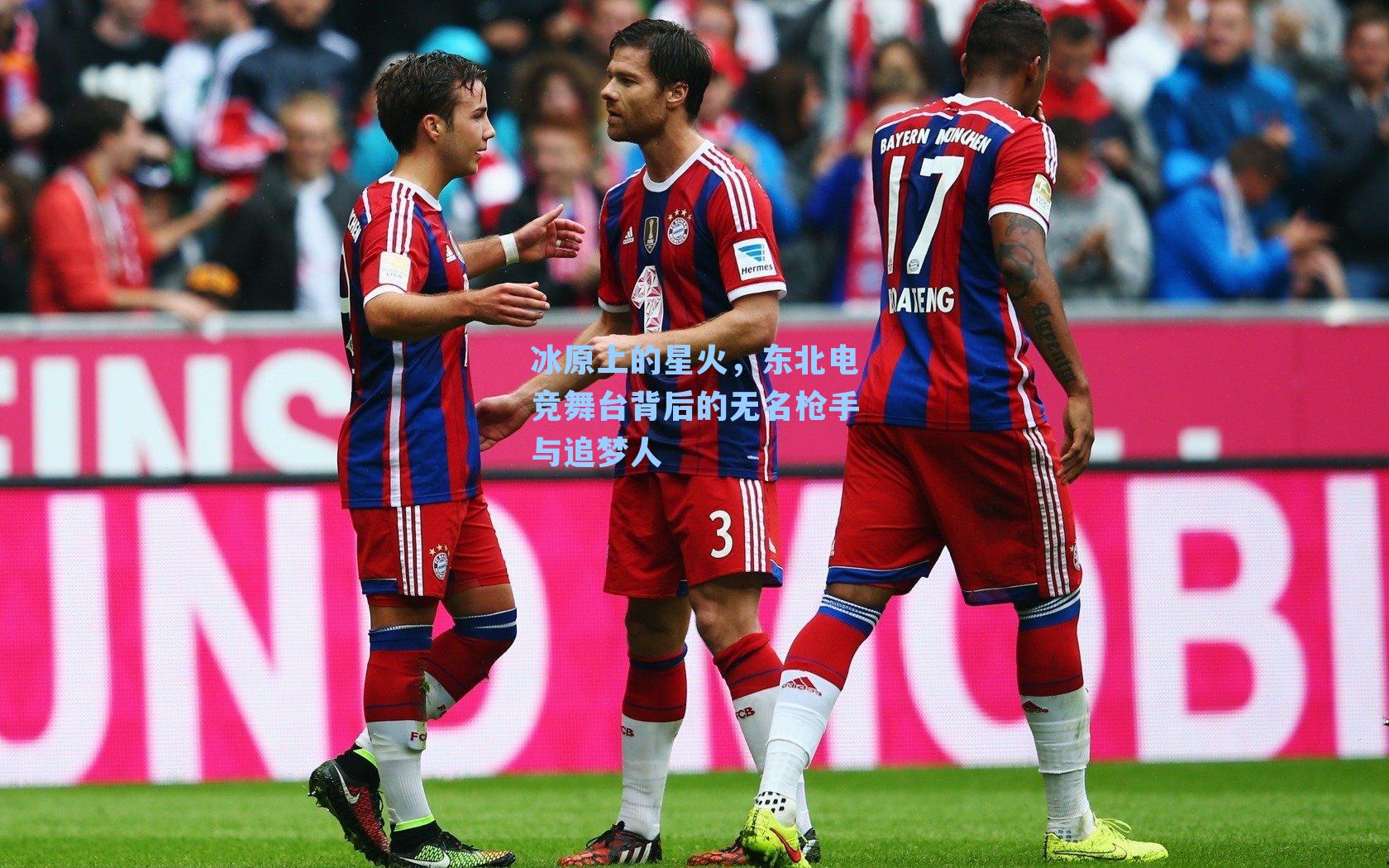 冰原上的星火,东北电竞舞台背后的无名枪手与追梦人